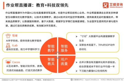 作業(yè)幫高質(zhì)量教學(xué)服務(wù)推進教育普惠 2020中國K12在線教育行業(yè)洞察